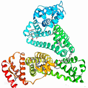 ZEN-OVA Conjugate，玉米赤霉烯酮-鸡卵清白蛋白偶联物