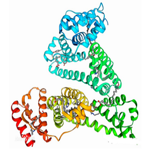 Tylosin-BSA，泰乐菌素-牛血清白蛋白偶联物