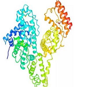 Tylosin-OVA，泰乐菌素-鸡卵清白蛋白偶联物