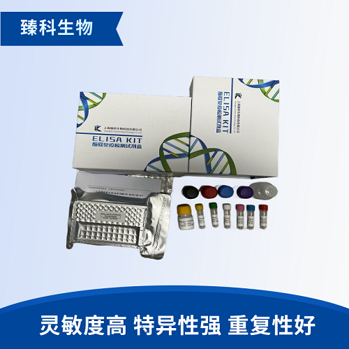 人胰岛素样生长因子结合蛋白1(IGFBP-1）检测试剂盒（ELISA法）