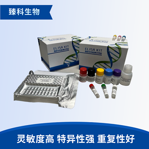 人脂肪酸转运蛋白5(FATP5）检测试剂盒（ELISA法）