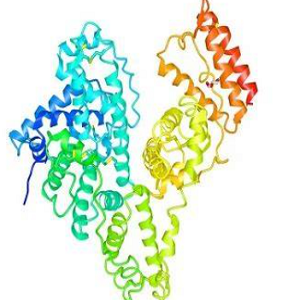 ATRA-OVA Conjugate，维甲酸-鸡卵清白蛋白偶联物