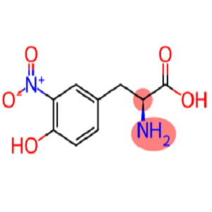 3-Nitrotyrosine-BSA Congjugate，3-硝基酪氨酸-BSA偶联物，3-NT-BSA