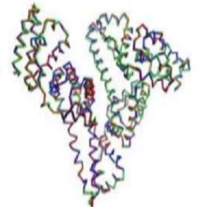 Kanamycin-OVA Conjugate，卡那霉素-鸡卵清白蛋白偶联物