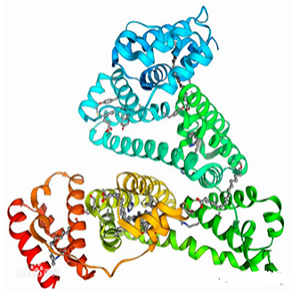 Kanamycin-BSA Conjugate，卡那霉素-牛血清白蛋白偶联物