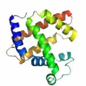 Tetracycline-BSA Conjugate，四环素-牛血清白蛋白偶联物
