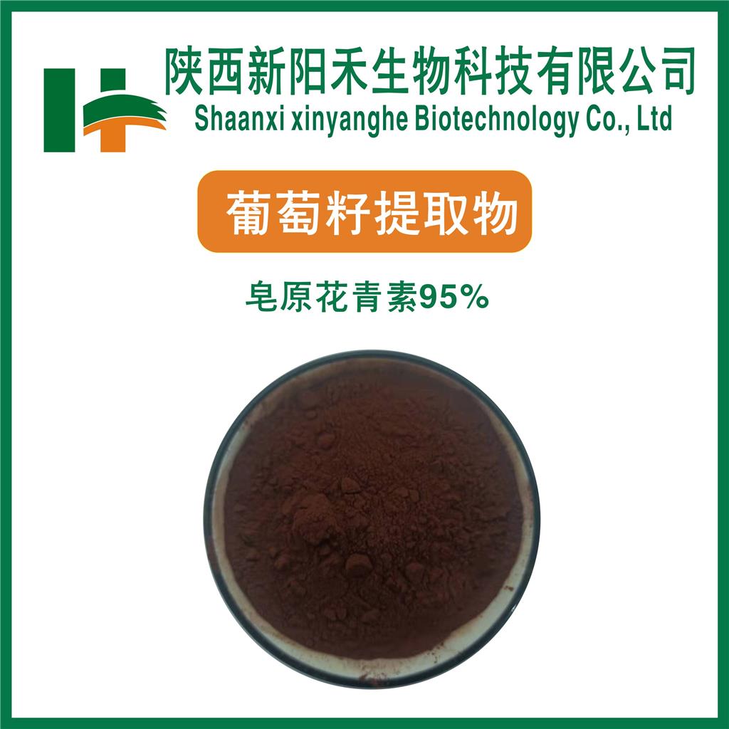 葡萄籽提取物    原花青素     葡萄籽多酚