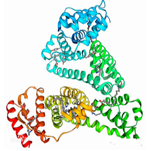 Ampicillin-OVA Conjugate，氨苄青霉素-鸡卵清白蛋白偶联物