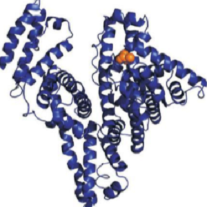 TBBPA-BSA，四溴双酚A-牛血清白蛋白偶联物