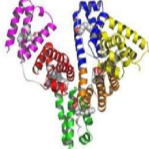 Tartrizine-OVA Conjugate，柠檬黄-鸡卵清白蛋白偶联物