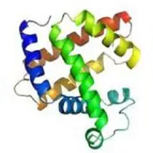 3-Nitrotyrosine-BSA Conjugate，3-硝基酪氨酸-牛血清白蛋白偶联物