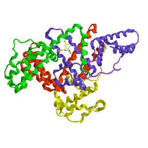 Ciprofloxacin-BSA Conjugate，环丙沙星-牛血清白蛋白偶联物