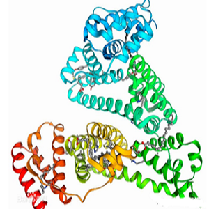 Sarafloxacin-BSA Conjugate，沙拉沙星-牛血清白蛋白偶联物