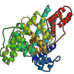 Nor-BSA Conjugate，诺氟沙星-牛血清白蛋白偶联物，NFLX-BSA