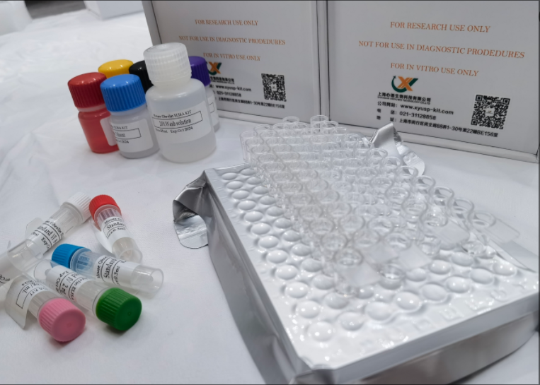 兔E选择素（E-Selectin）elisa试剂盒