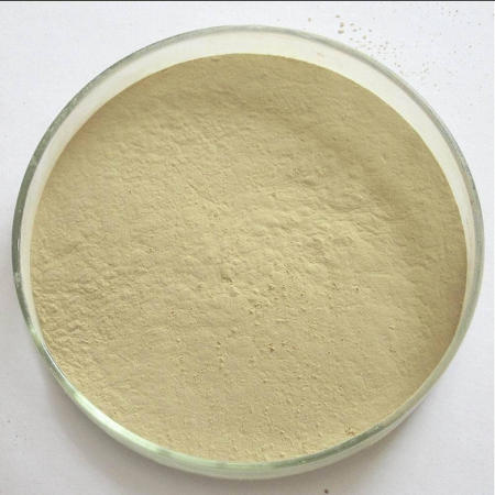 2,4-二氯-5-甲基苯胺 17601-75-1