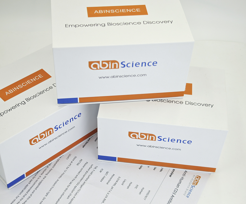 重组Human DSG1 蛋白, C-His