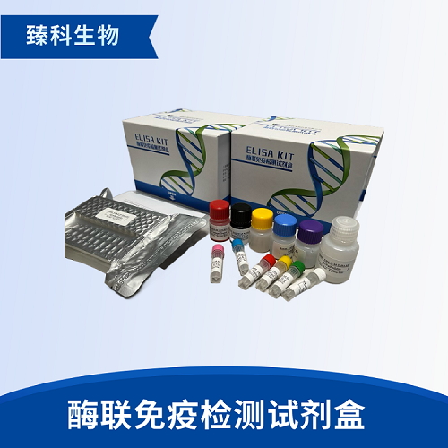 人CXC趋化因子受体2(CXCR2）检测试剂盒（ELISA法）