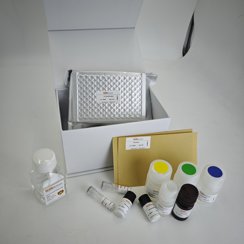 InVivoMAb 抗HPV16 L2/Minor capsid protein L2 (ABV0125)（一抗）