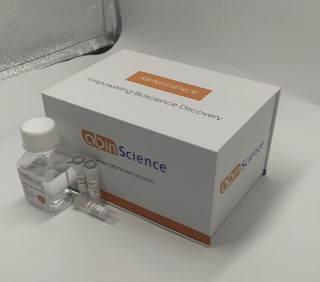 Anti-BVDV Envelope glycoprotein E2/gp55 Antibody (H15)