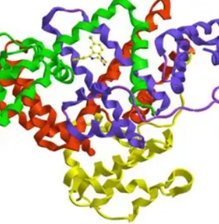 Vitmin B12-BSA Conjugate，维生素B12-牛血清白蛋白偶联物