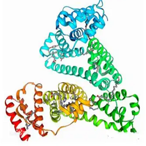 Kanamycin-OVA Conjugate，鸡卵清蛋白-卡那霉素偶联物