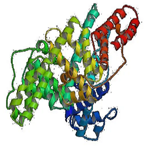 OVA conjugated Histamine Hapten，鸡卵清蛋白-组织胺偶联物