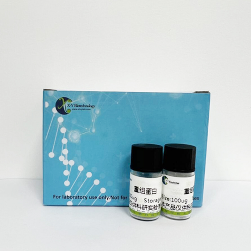 Recombinant 11-Beta-Hydroxysteroid Dehydrogenase Type 1 (HSD11b1)