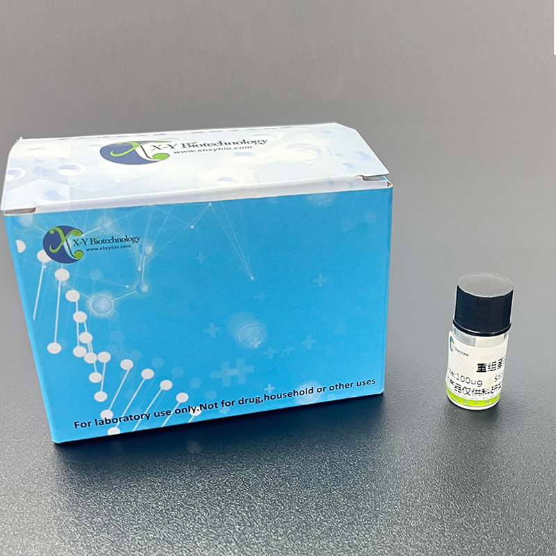 Recombinant 11-Beta-Hydroxysteroid Dehydrogenase Type 1 (HSD11b1)