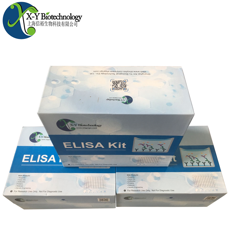 人BDH1(D-β-羟丁酸脱氢酶，线粒体)ELISA试剂盒