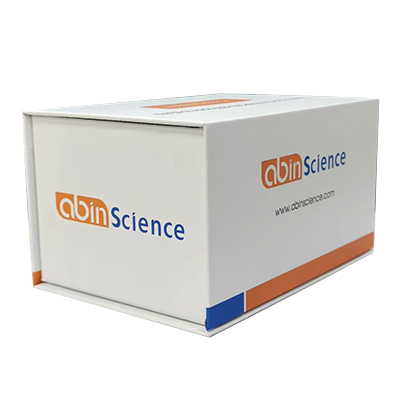 抗DERP1 抗体 (ABS0743)（一抗）