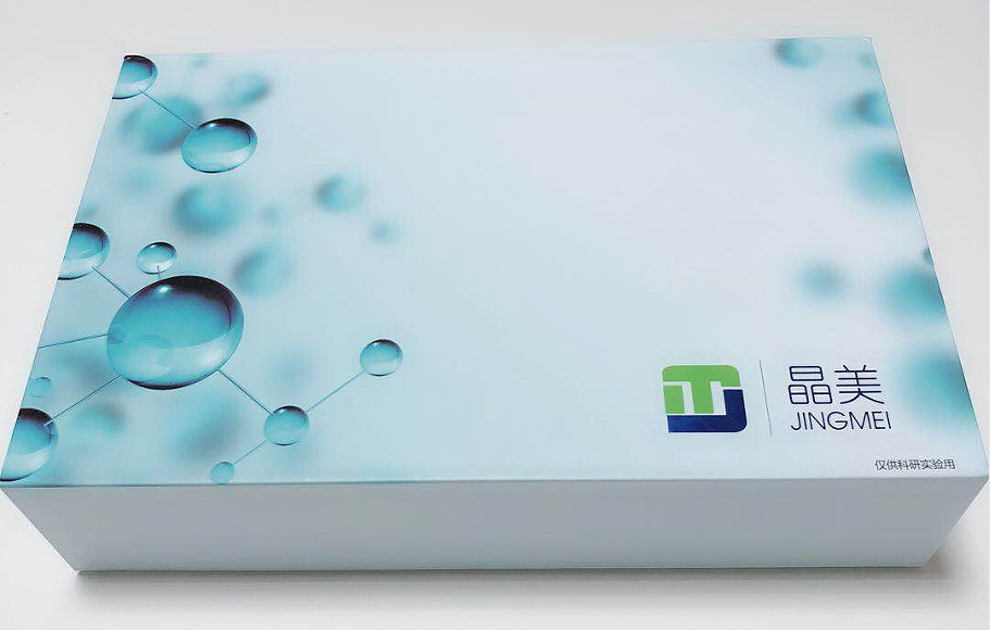 小鼠白细胞介素1β(IL-1β)ELISA科研试剂盒