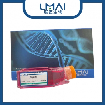 LLC[LL/2;LLC1]细胞（小鼠肺癌细胞种属鉴定正确）LM8C0140