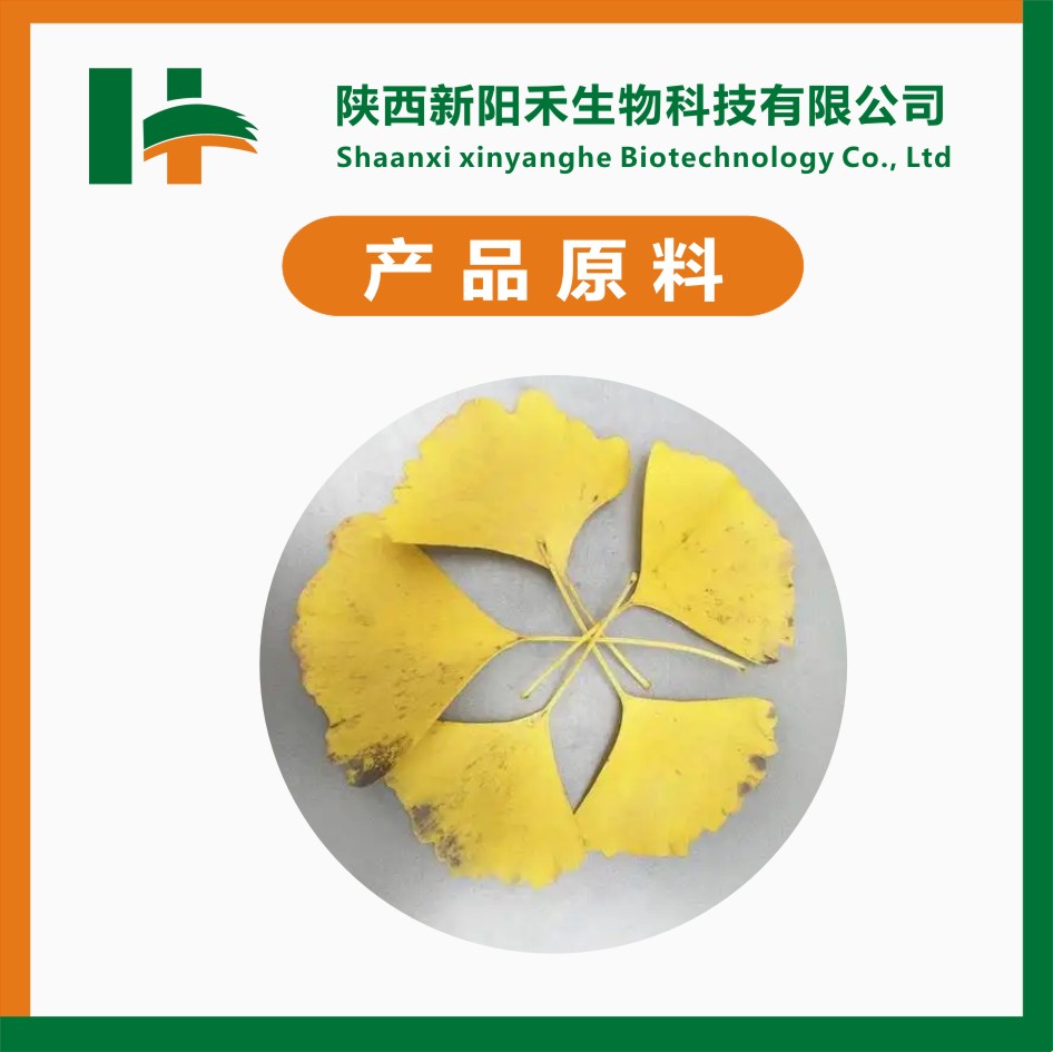 银杏叶提取物 银杏叶粉 黄酮24%内酯6%