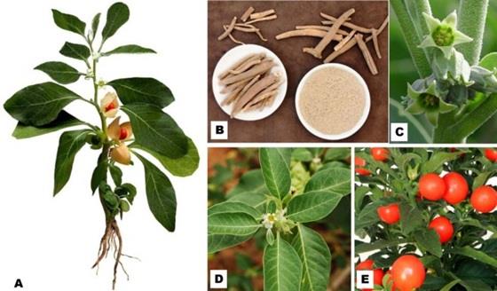 6389933339257360032637746.jpg 6389933339257360032637746.jpg