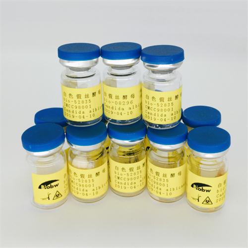 Ferruginibacter Alkalilentus