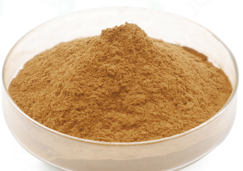 红景天苷提取物