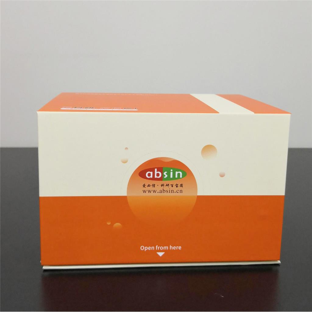 小鼠 IL-12 p70 ELISA 试剂盒