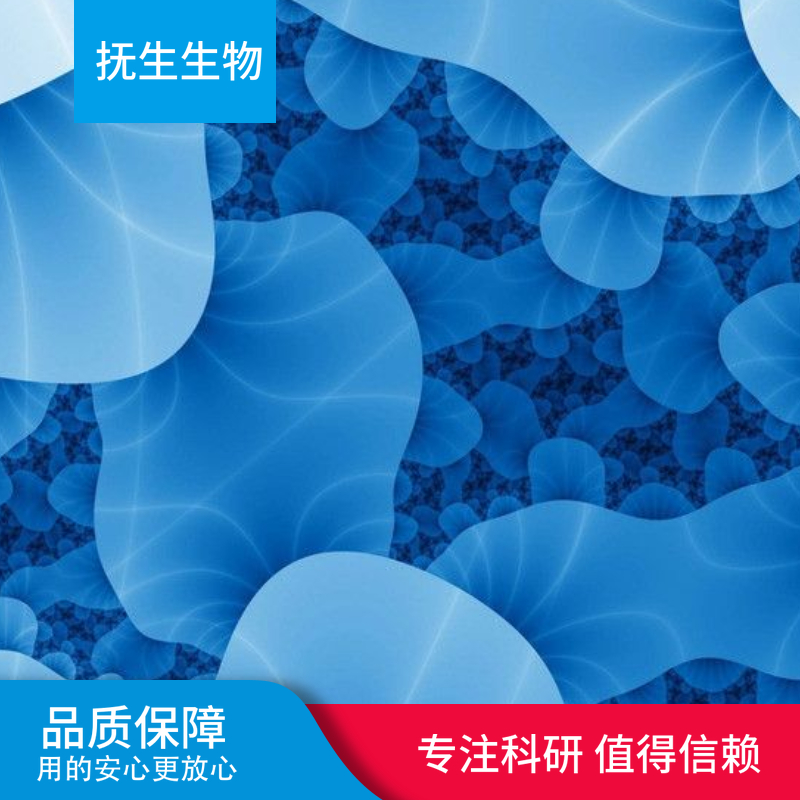 L132（人胚胎肺上皮细胞）