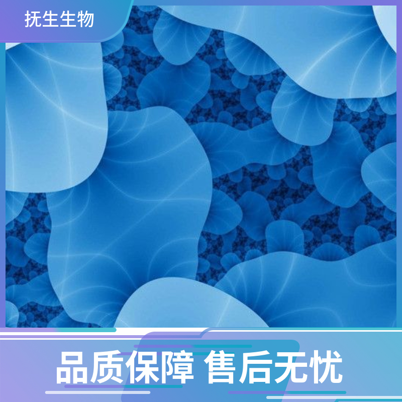 人弥漫大B淋巴瘤细胞；HBL-1