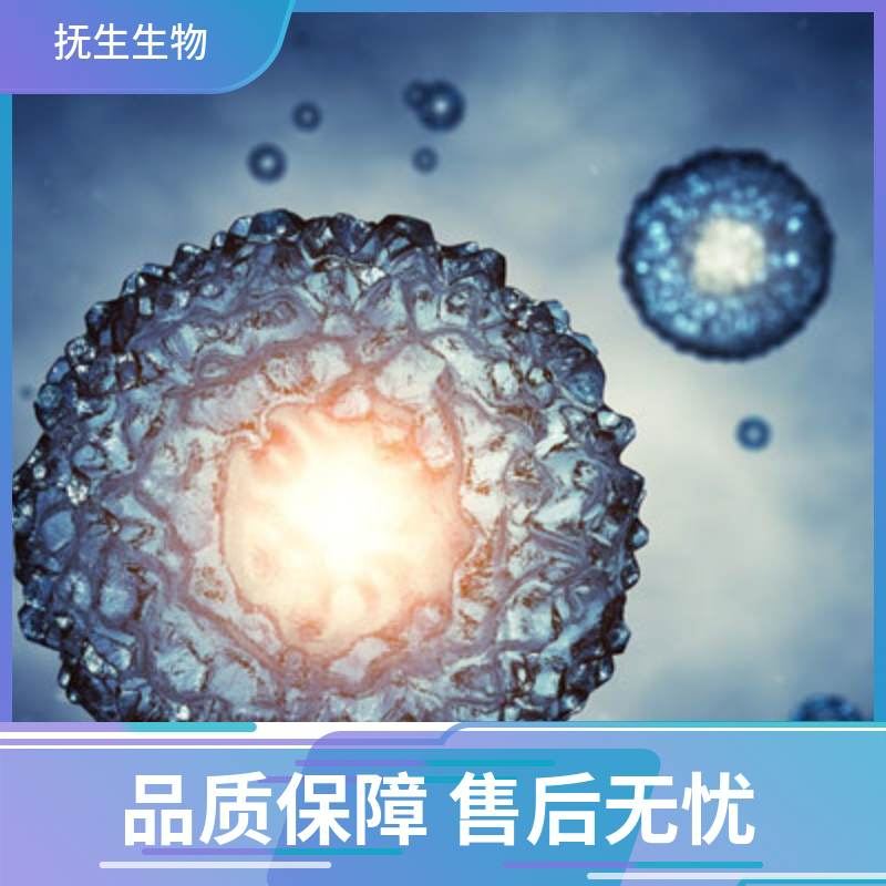 成人急性髓系白血病细胞；SKM-1