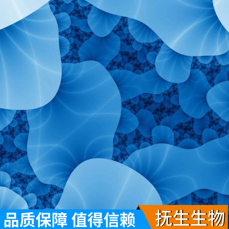 人B细胞淋巴瘤；U-2940