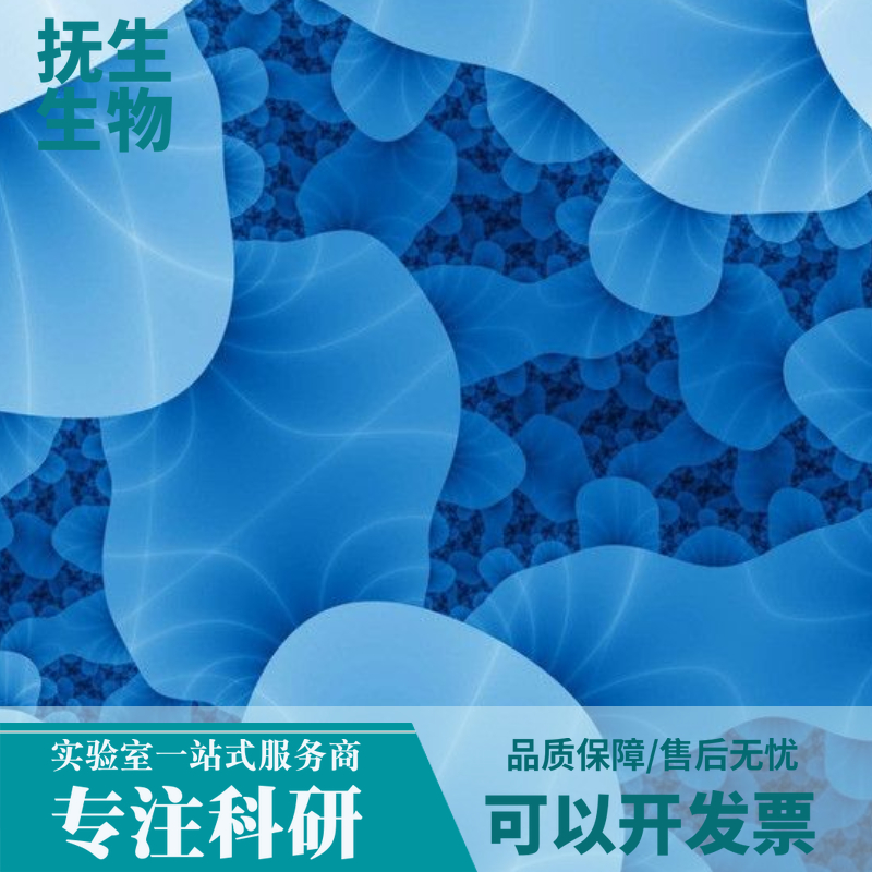 人结肠癌细胞细胞；COLO678