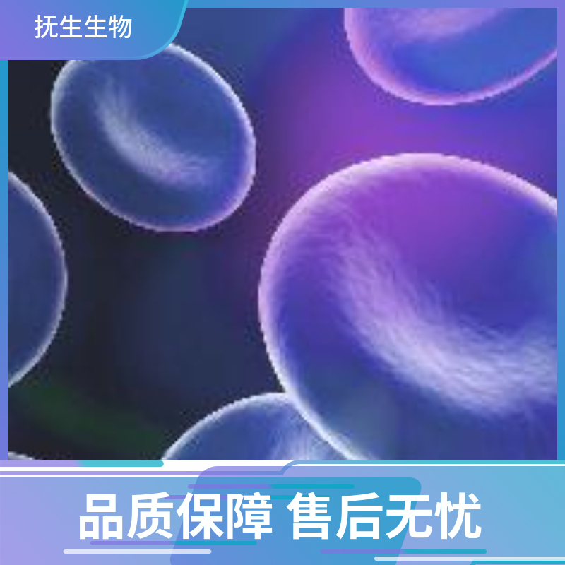 人脑胶质细胞瘤细胞；DBTRG-05MG