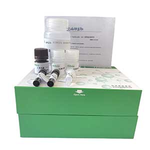 溶菌酶(LZM)试剂盒分光法/48样