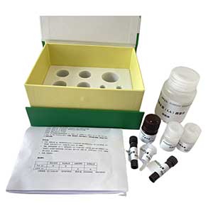 溶菌酶(LZM)试剂盒分光法/48样