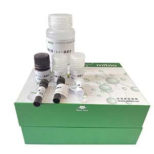 丙酮酸(PA)含量试剂盒(酶法)分光法/48样