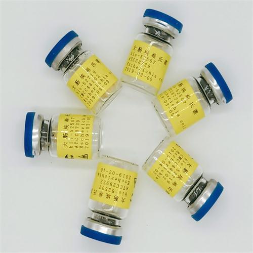 Oceanobacillus Halotolerans