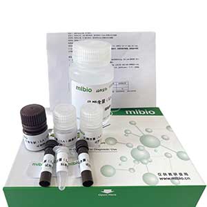 β-半乳糖苷酶(β-GAL)测定试剂盒/微量法/48样