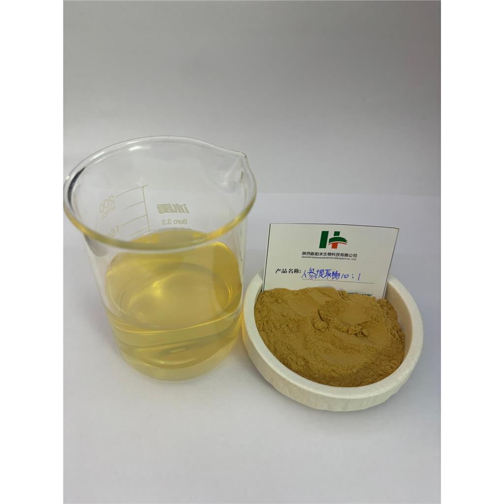 人参提取物    人参皂苷     人参根提取物